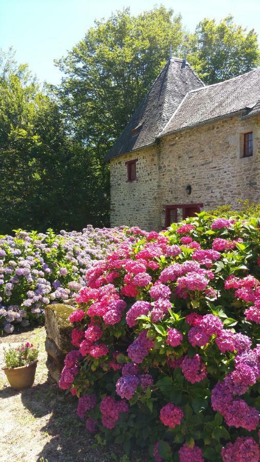 Chateau De Bellefond Villa Lagraulière Exterior foto